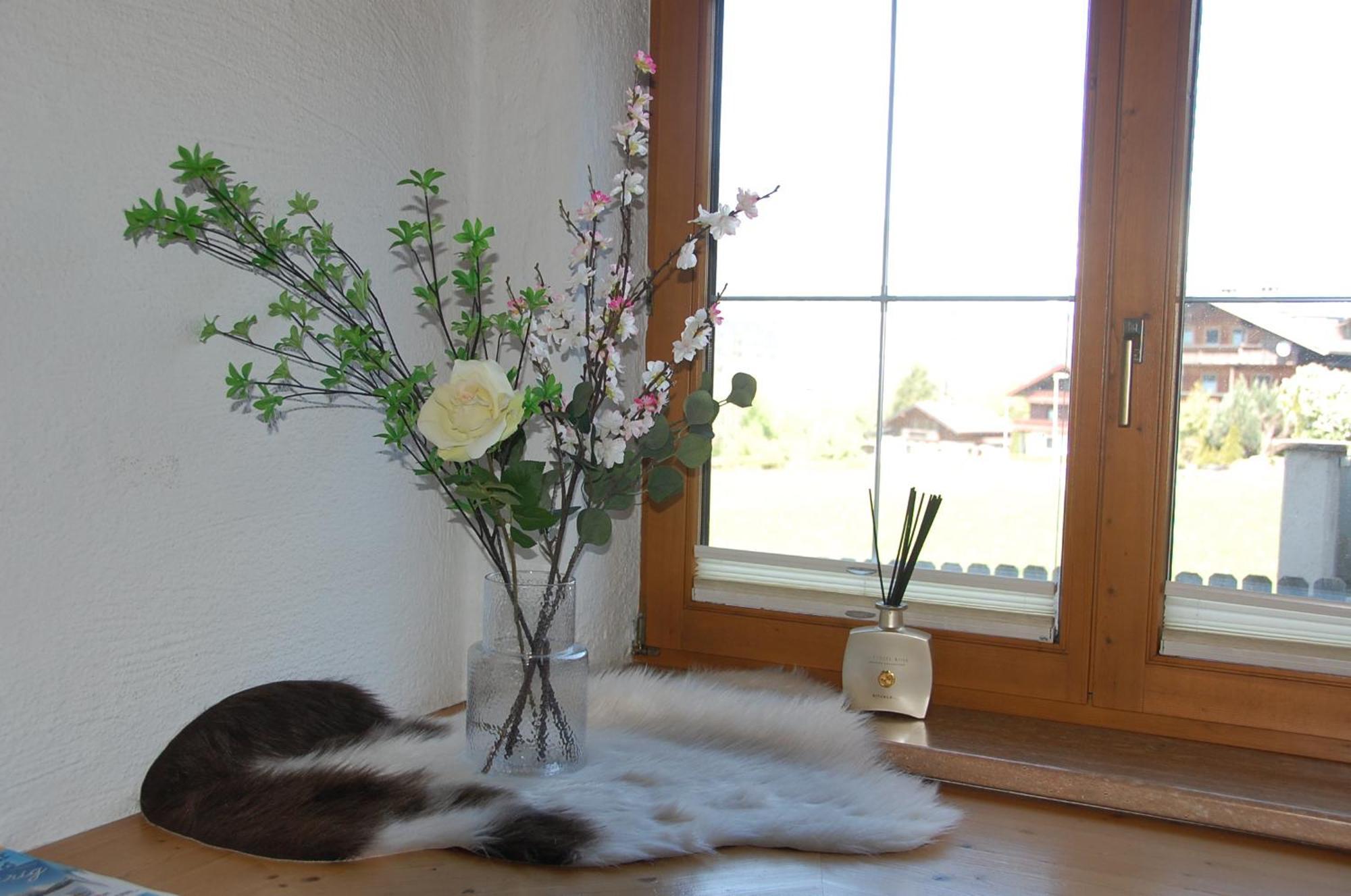 Haus Hart Im Zillertal 6 Personen Villa Buitenkant foto